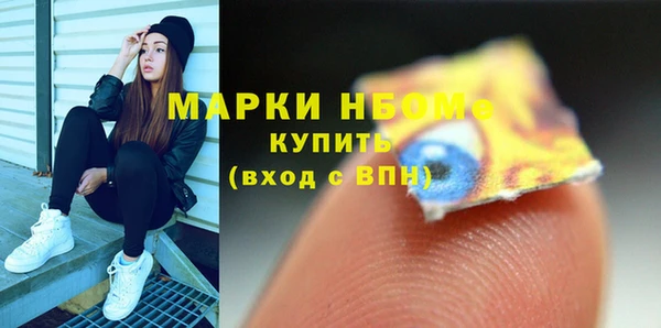 гашик Краснослободск