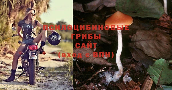 кокс Лагань