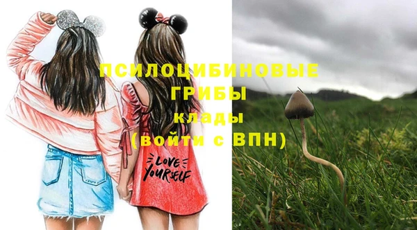 кокс Лагань
