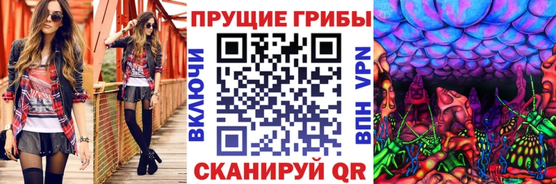 Псилоцибиновые грибы прущие грибы  где купить   Медвежьегорск 